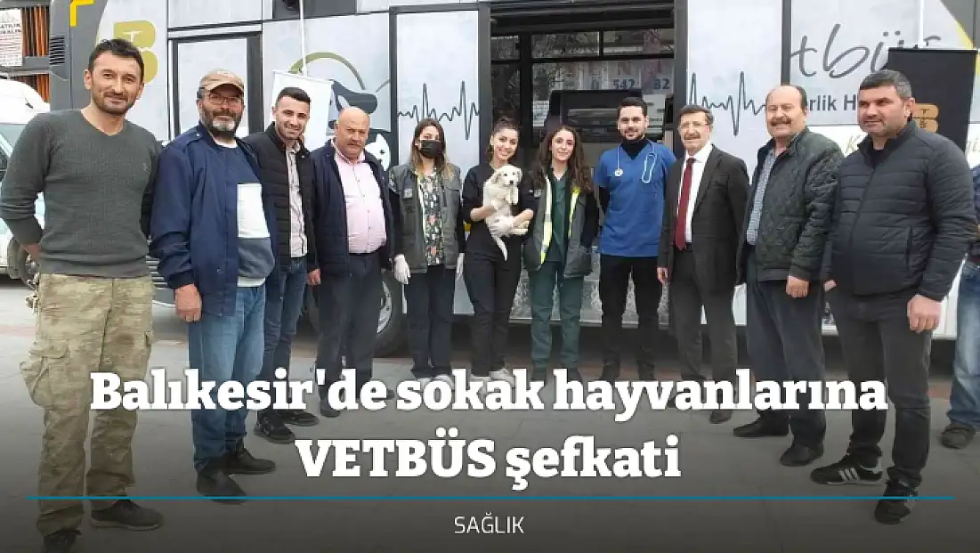 Balıkesir'de sokak hayvanlarına VETBÜS şefkati