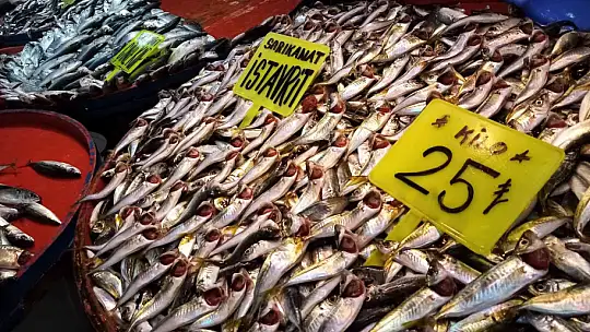 Balıkçılardan fırtına uyarısı