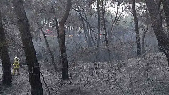 Balıkesir'de orman yangını zamanında müdahale ile kısa sürede söndürüldü