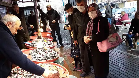 Hamsi Gürcistan'a kaçtı, tezgahlar yavru uskumruyla doldu