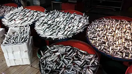 Lodos esti, balık tezgâhları şenlendi