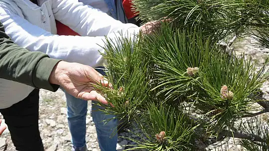Nitelikli ve kaliteli teknikerler olmak için dağlarda eğitim görüyorlar