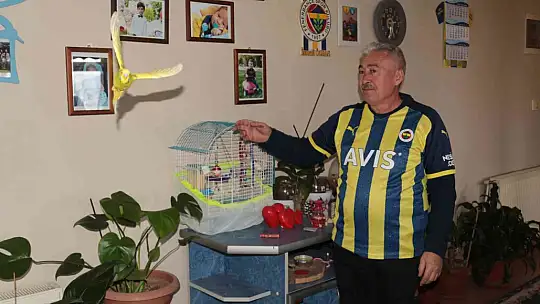 (Özel haber) Fanatik Fenerbahçe taraftarı İsmail Özhan'dan Kulüp Başkanı Ali Koç'a sitem