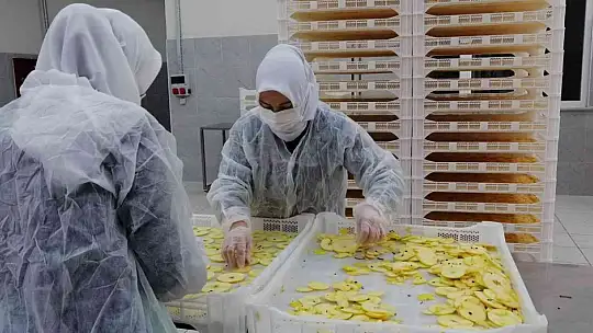 Sındırgı'dan dünyaya jeotermalle sağlıklı gıda