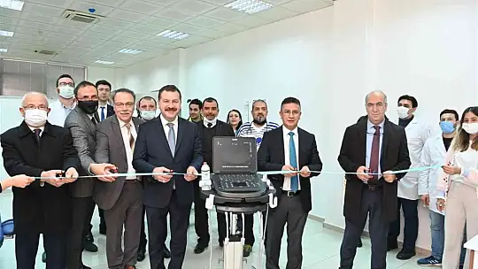 Sokak hayvanları için güç birliği