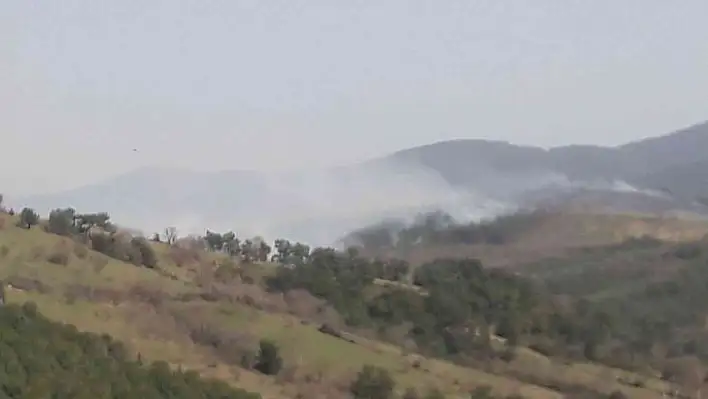 Çanakkale'de orman yangını