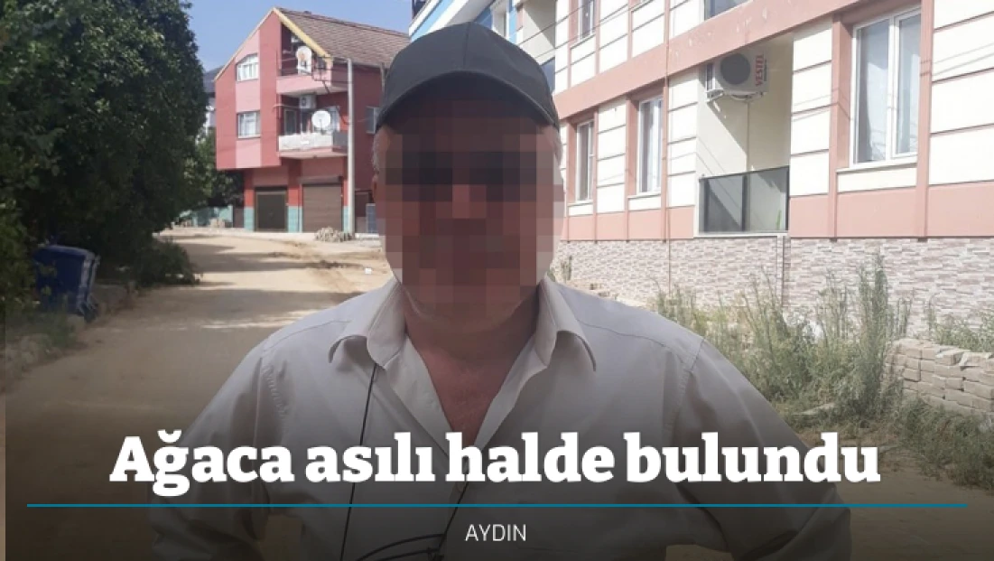 Ağaca asılı halde bulundu