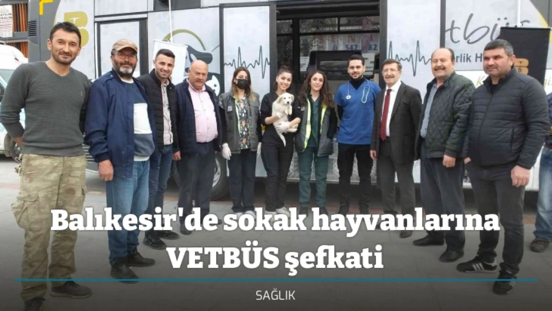 Balıkesir'de sokak hayvanlarına VETBÜS şefkati