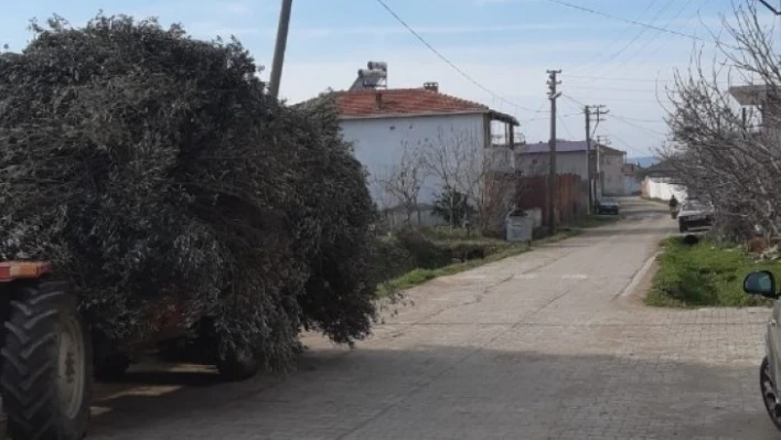 Burhaniye'de bir mahalleye kısmi karantina