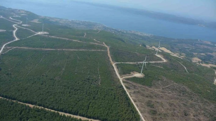 Çanakkale'de 2008 yılında küle dönen alan dikilen 2 milyondan fazla fidanla yeniden yeşillendi