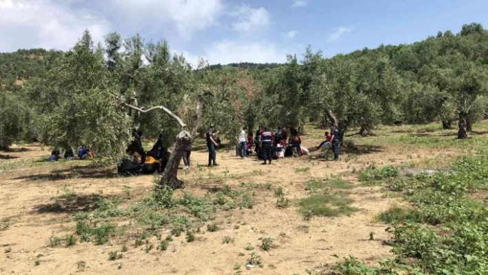 Çanakkale'de son 4 ayda bin 195 düzensiz göçmen yakalandı