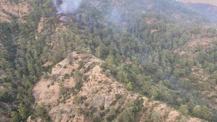 Fethiye'deki orman yangını kontrol altına alındı