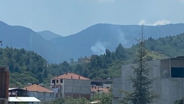 Manisa'da çıkan orman yangınında 1 hektar alan zarar gördü