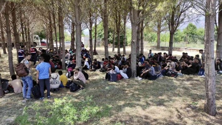 Muğla'da 237 göçmenin yakalandığı operasyonda 3 tutuklama