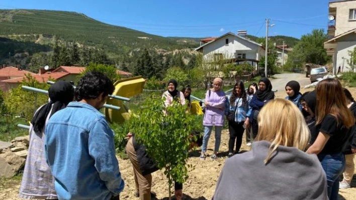 Şaphane Meslek Yüksekokulu öğrencilerine aktivite-uğraşı terapisi çalışması