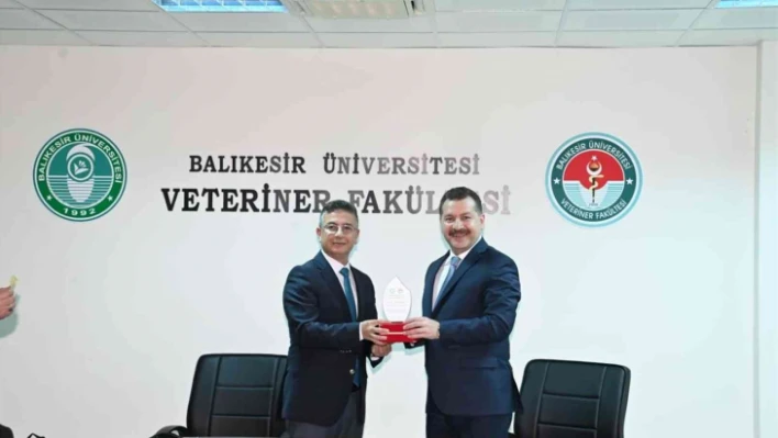 Sokak hayvanları için güç birliği