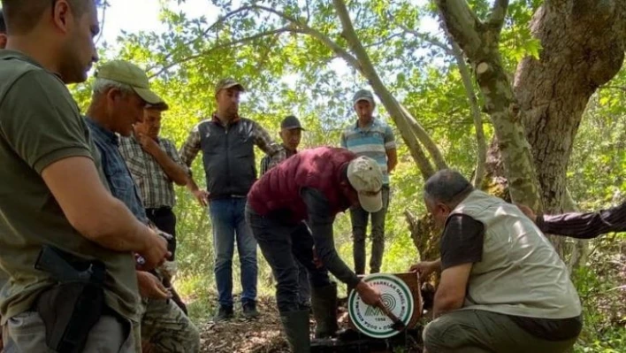 Yenipazar'da yaban hayatı için su yalakları yerleştirildi